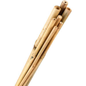 Bamboo Stakes, 1” x 6’, Bundle of 100