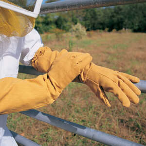 Canvas Beekeeping Gloves, Medium